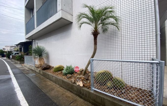 庭・植栽 画像