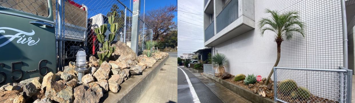 庭・植栽 画像