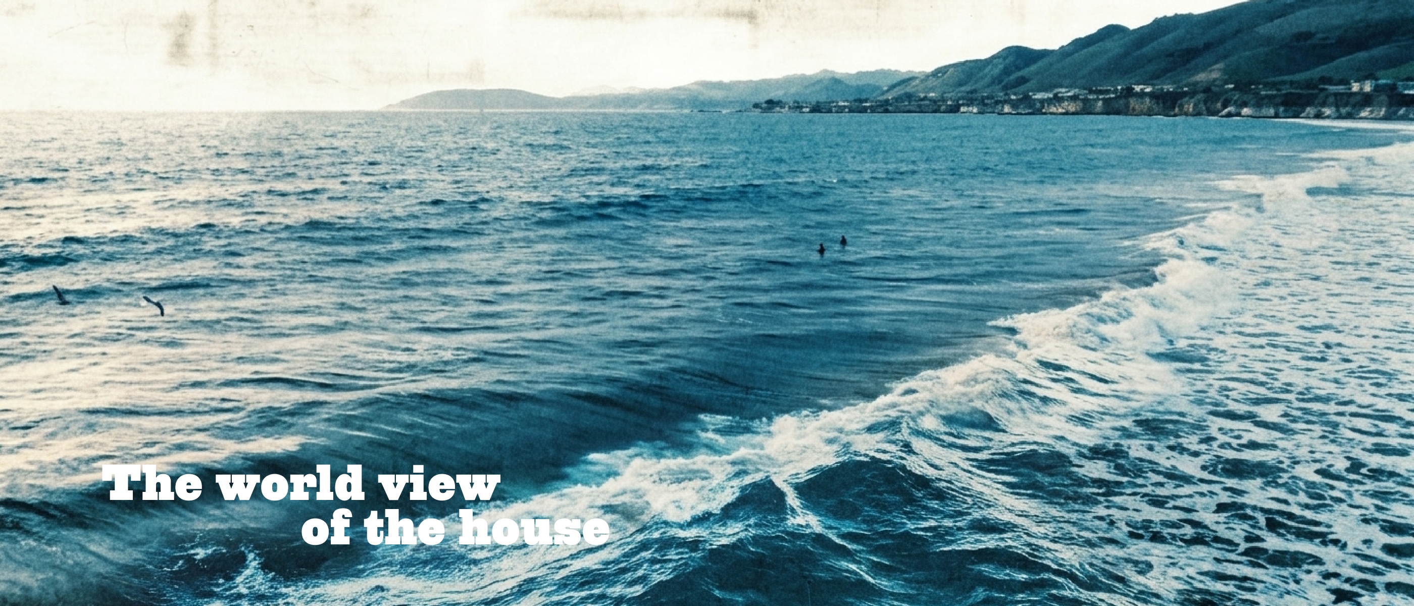 海 写真