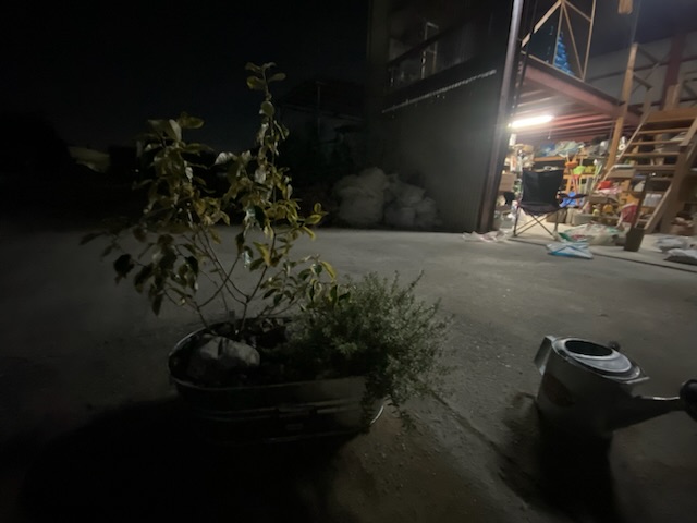 CARPENTER SUNDAY JAM 常滑市外構、庭づくり　半田市外構、庭づくり
