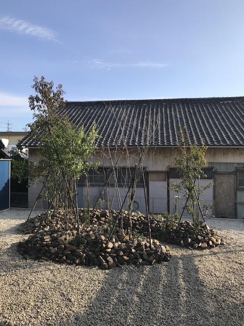 雑木の庭