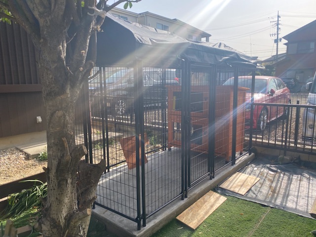 ウサギ小屋