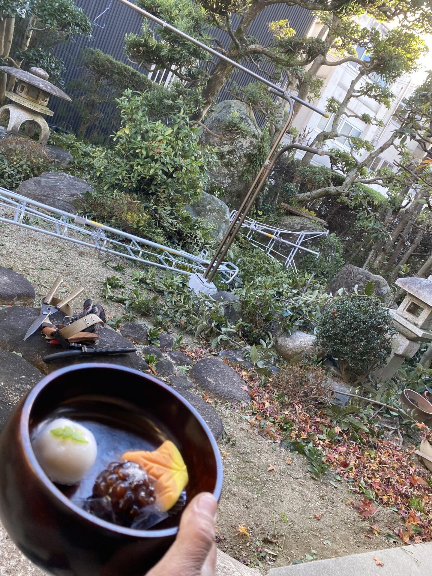 庭